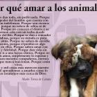 Por qué amar a los animales? De Madre Teresa de Calcuta